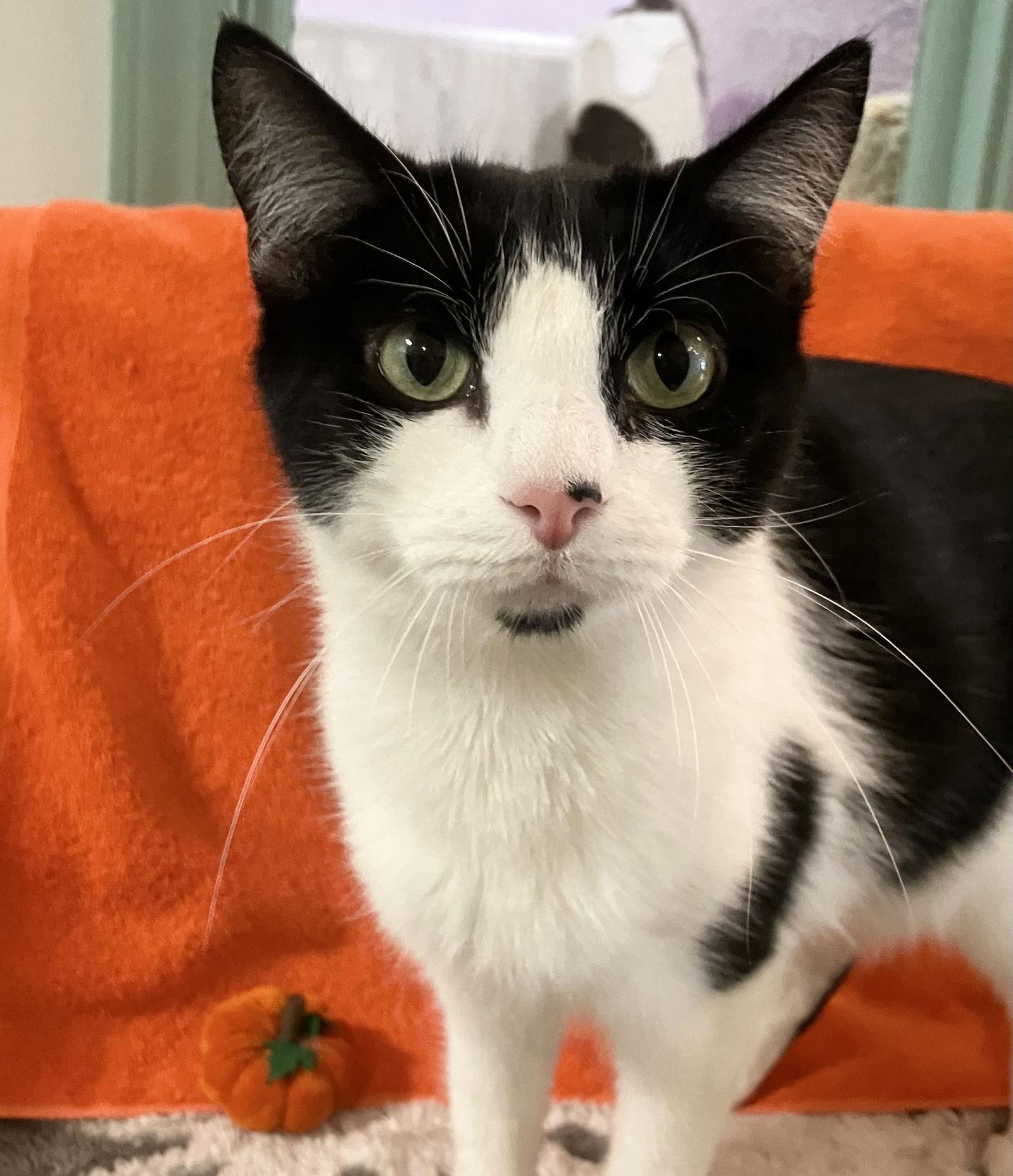 Sophia Marie thumbnail 4