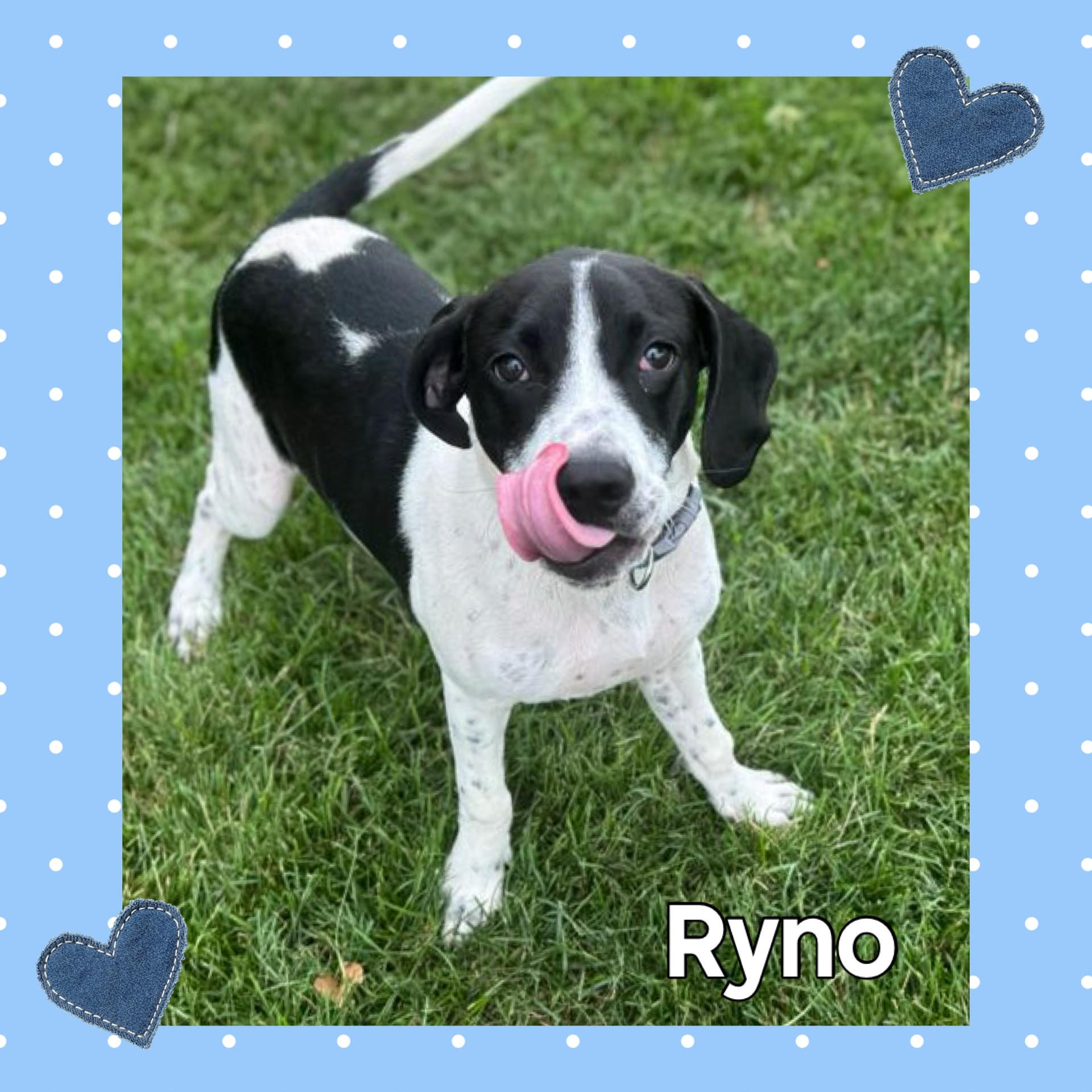 Ryno