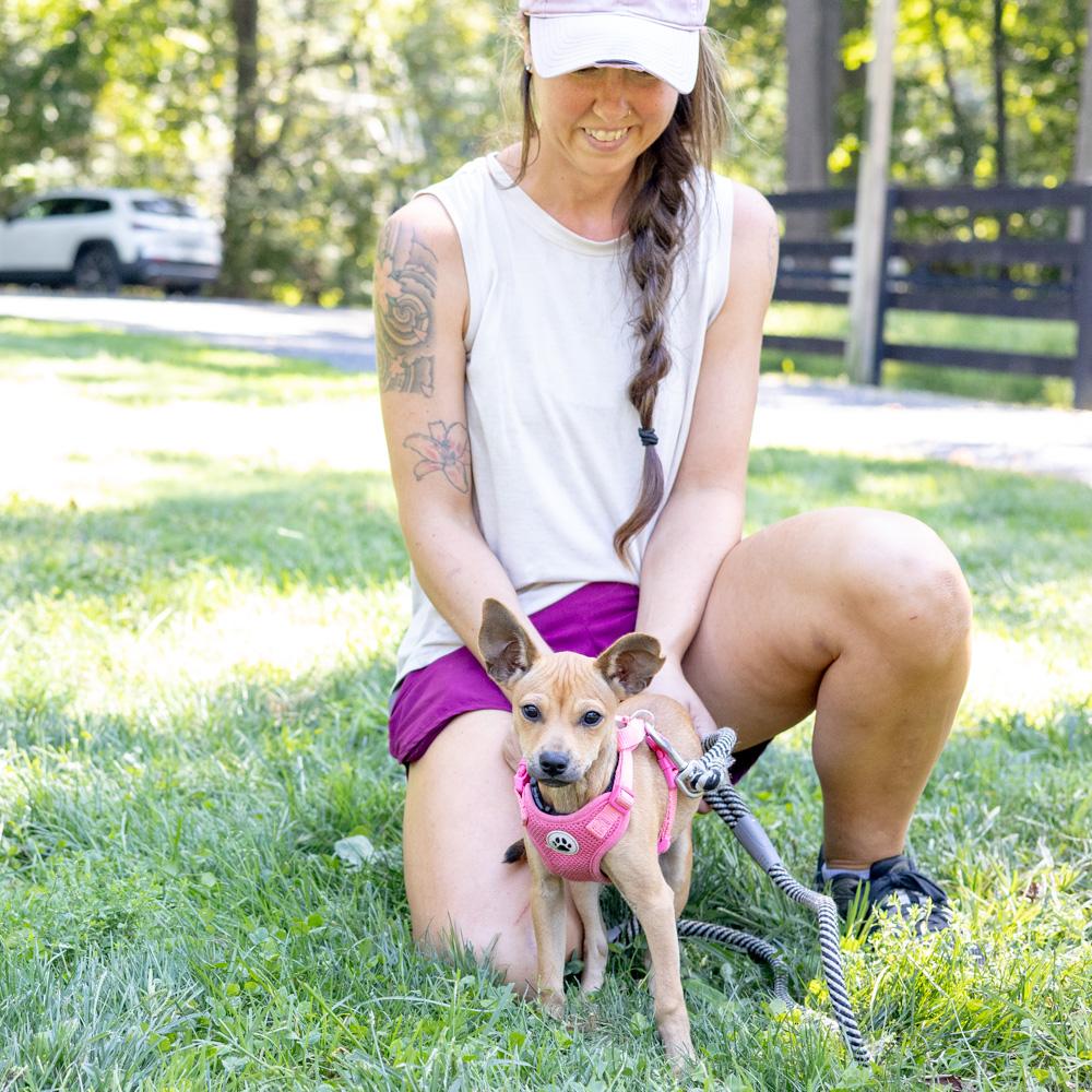 Enlarge Acorn (Female), a Adoptable mixed breed in West Grove, PA image 5/5