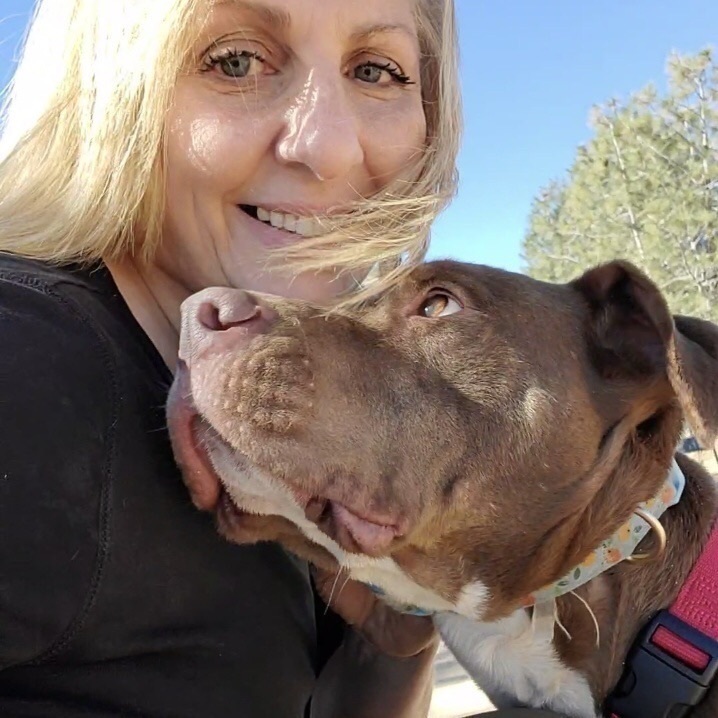 TAYLOR AMAZING BOY. Survived 460 days in high kill shelter, a Adoptable mixed breed in Acton, CA image 2/12