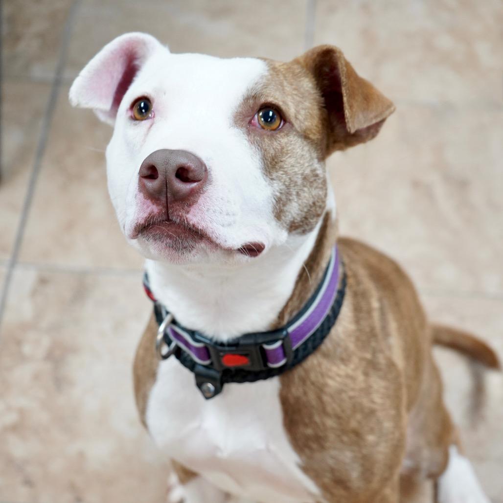 Maxine — thumbnail 2