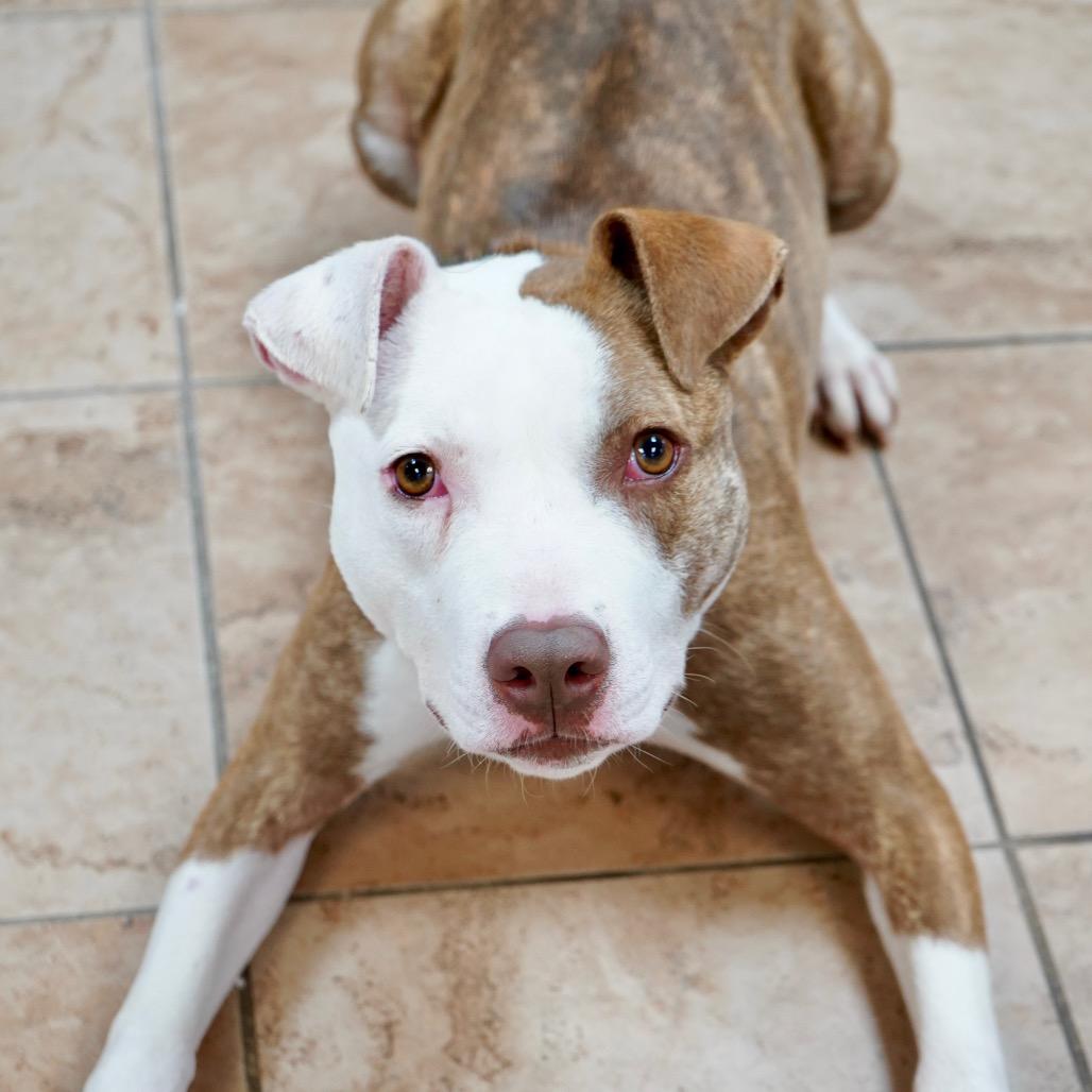 Maxine — thumbnail 3