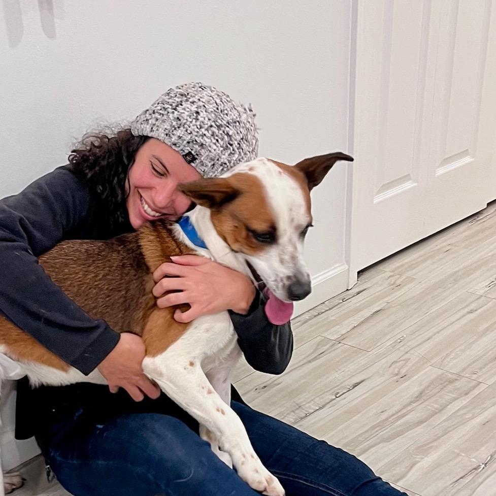 Banda, a Adoptable mixed breed in Metamora, MI image 3/6