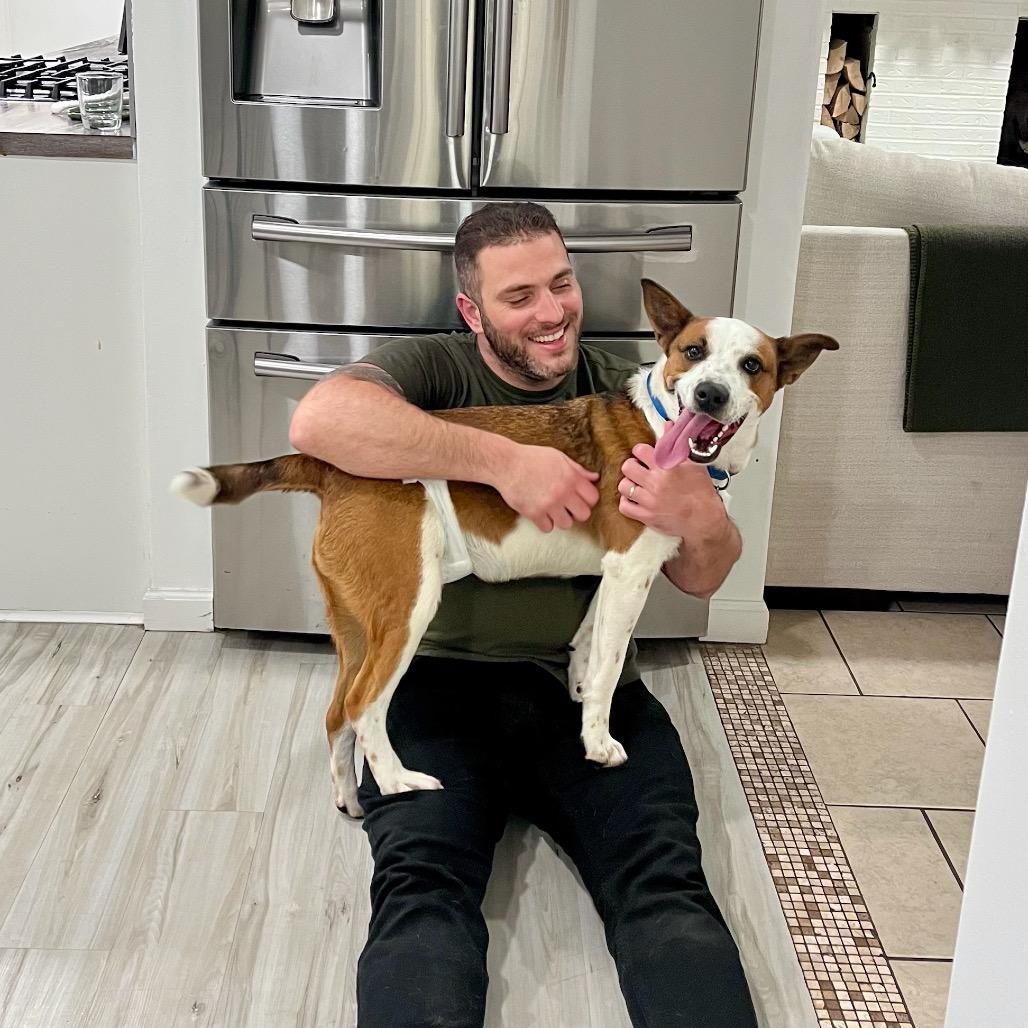 Banda, a Adoptable mixed breed in Metamora, MI image 5/6