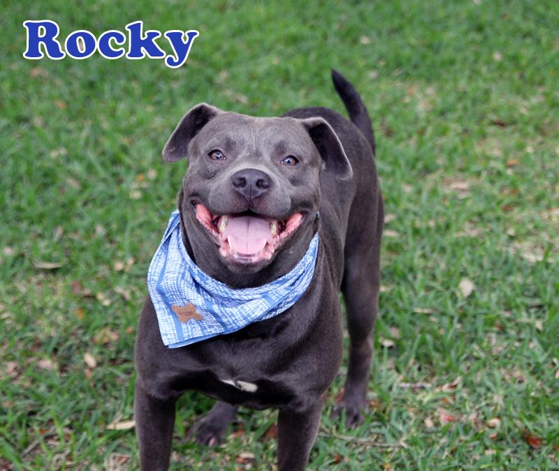 Rocky P — thumbnail 3