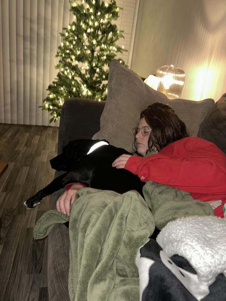 Enlarge Darla, a Adoptable mixed breed in Statesville, NC image 5/6