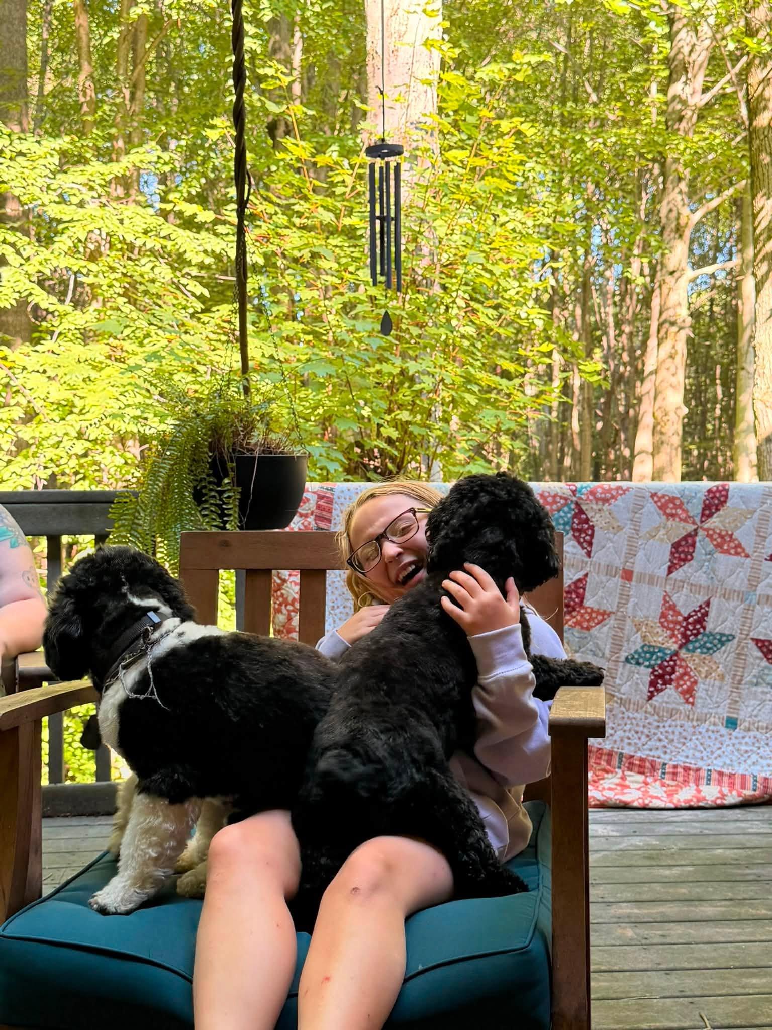 Enlarge Claudette and Audrey, an adopted mixed breed in Holland, MI image 4/4