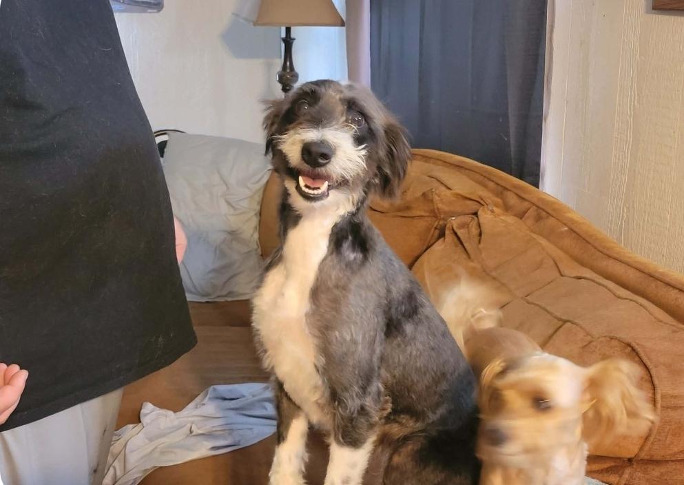 Karlie — thumbnail 2