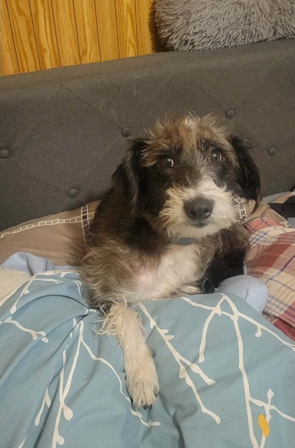 Karlie — thumbnail 4