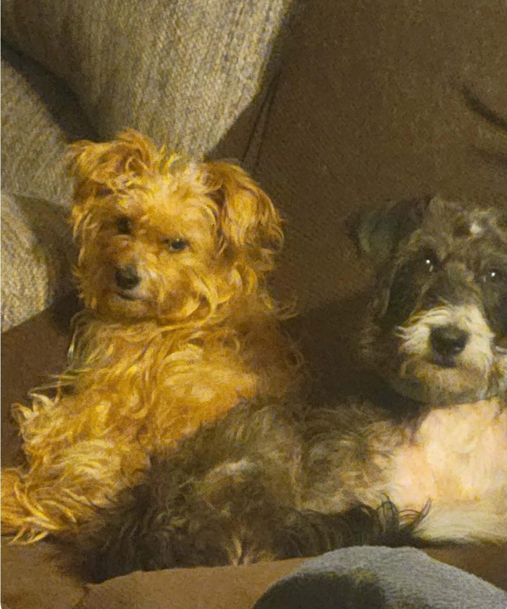 Karlie — thumbnail 5