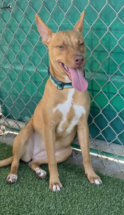 Gymnastics — thumbnail 2