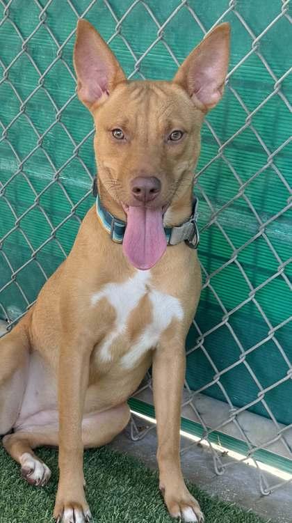 Gymnastics — thumbnail 3