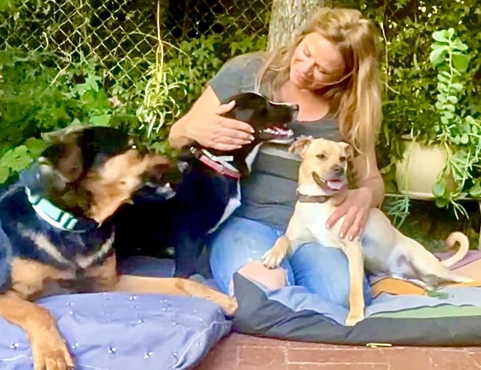 Enlarge Shorty Video, a Adoptable mixed breed in Pasadena, CA image 4/5