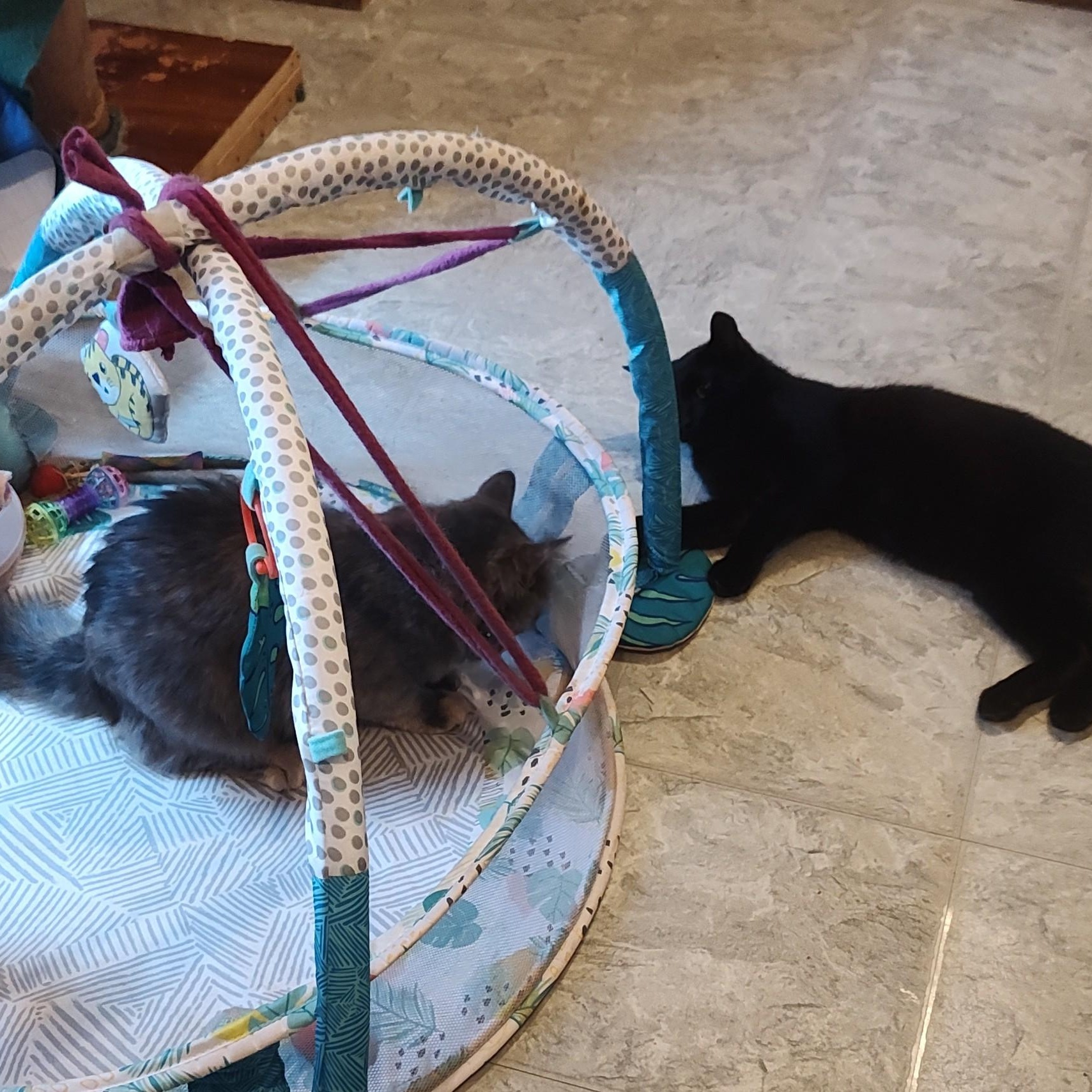 Prada and Kevin