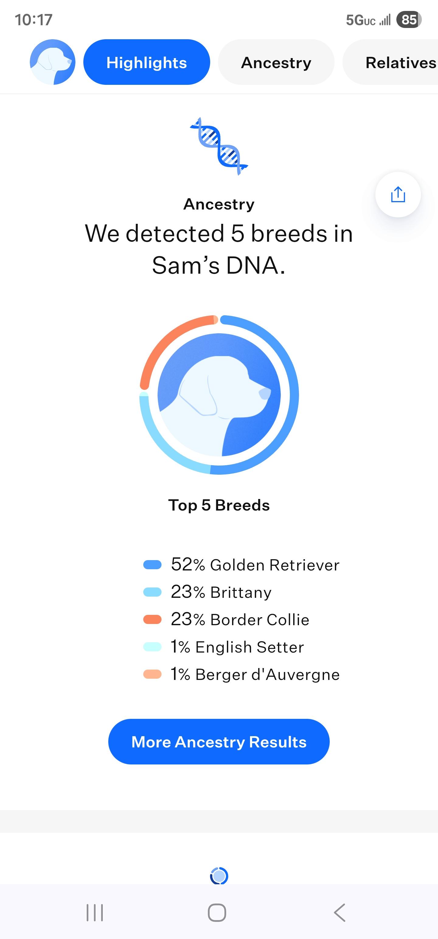 Enlarge Sam, an adopted mixed breed in Eagle, ID image 5/5