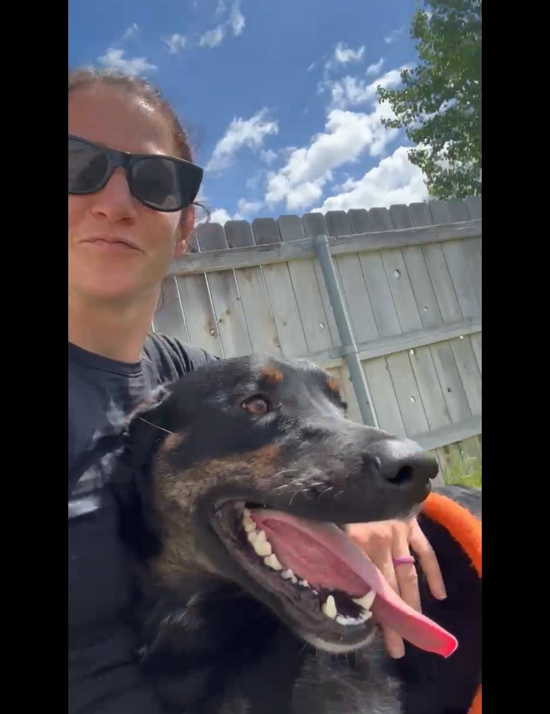 Rune, an adopted mixed breed in Hermiston, OR image 5/5