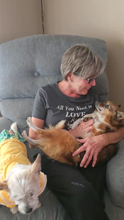 Enlarge Twizzler, a Adoptable mixed breed in Cedar Rapids, IA video 6/6