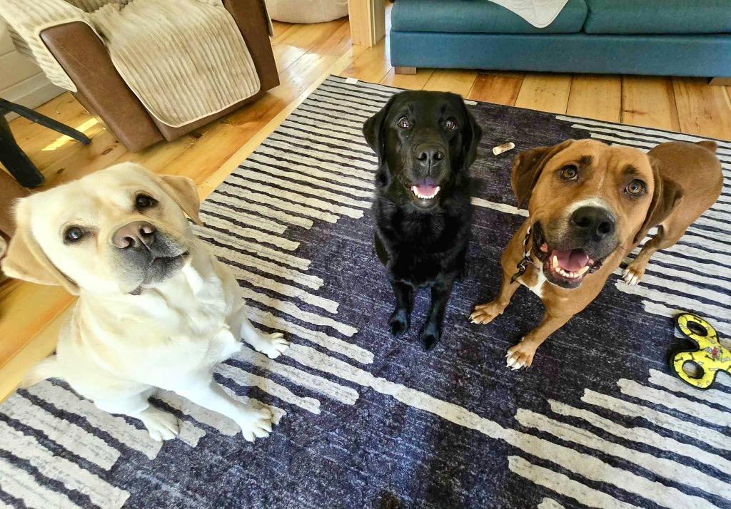 Atalie  Local thumbnail 5