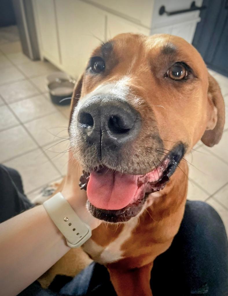 Atalie  Local thumbnail 7