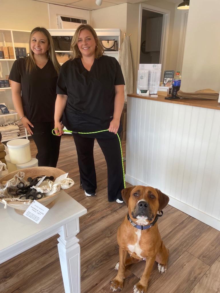 Atalie - LOCAL, a Adoptable mixed breed in Princeton, MA image 5/6