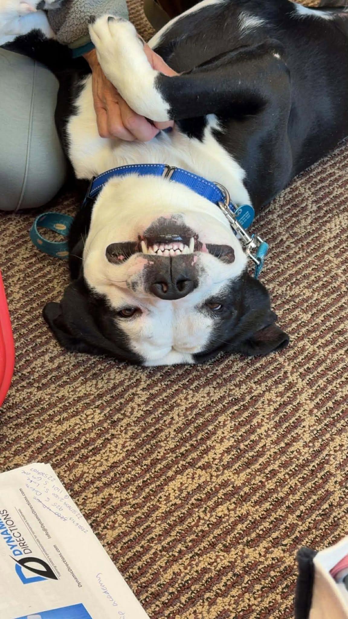 Slash — thumbnail 2