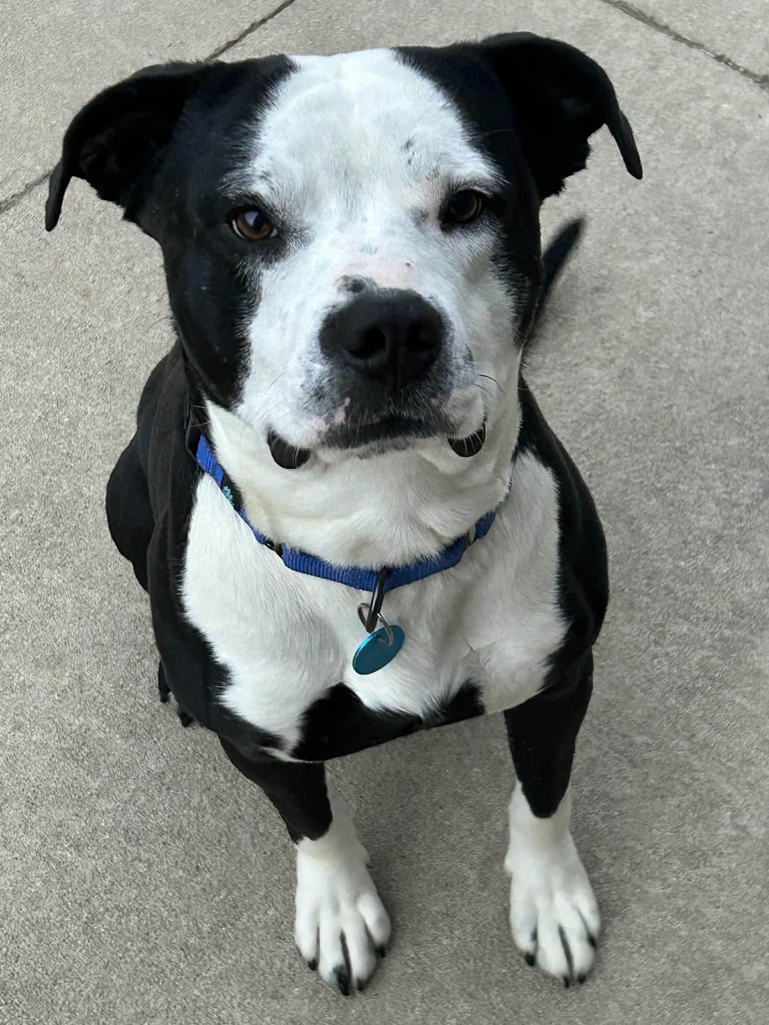 Slash — thumbnail 4