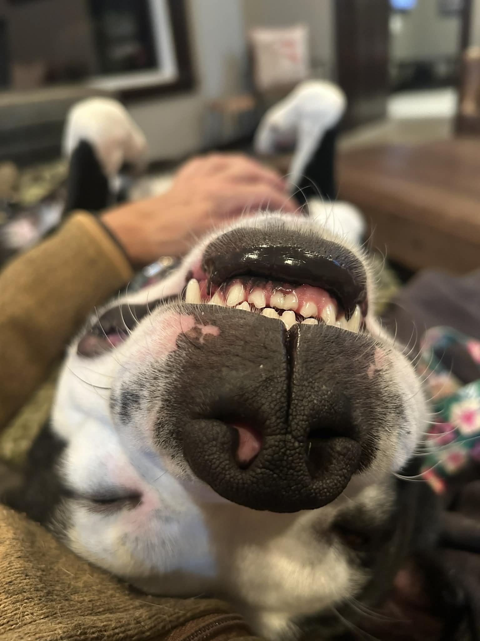 Slash — thumbnail 5