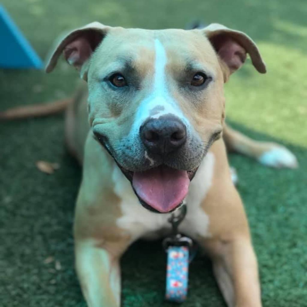 Betty Boo — thumbnail 4