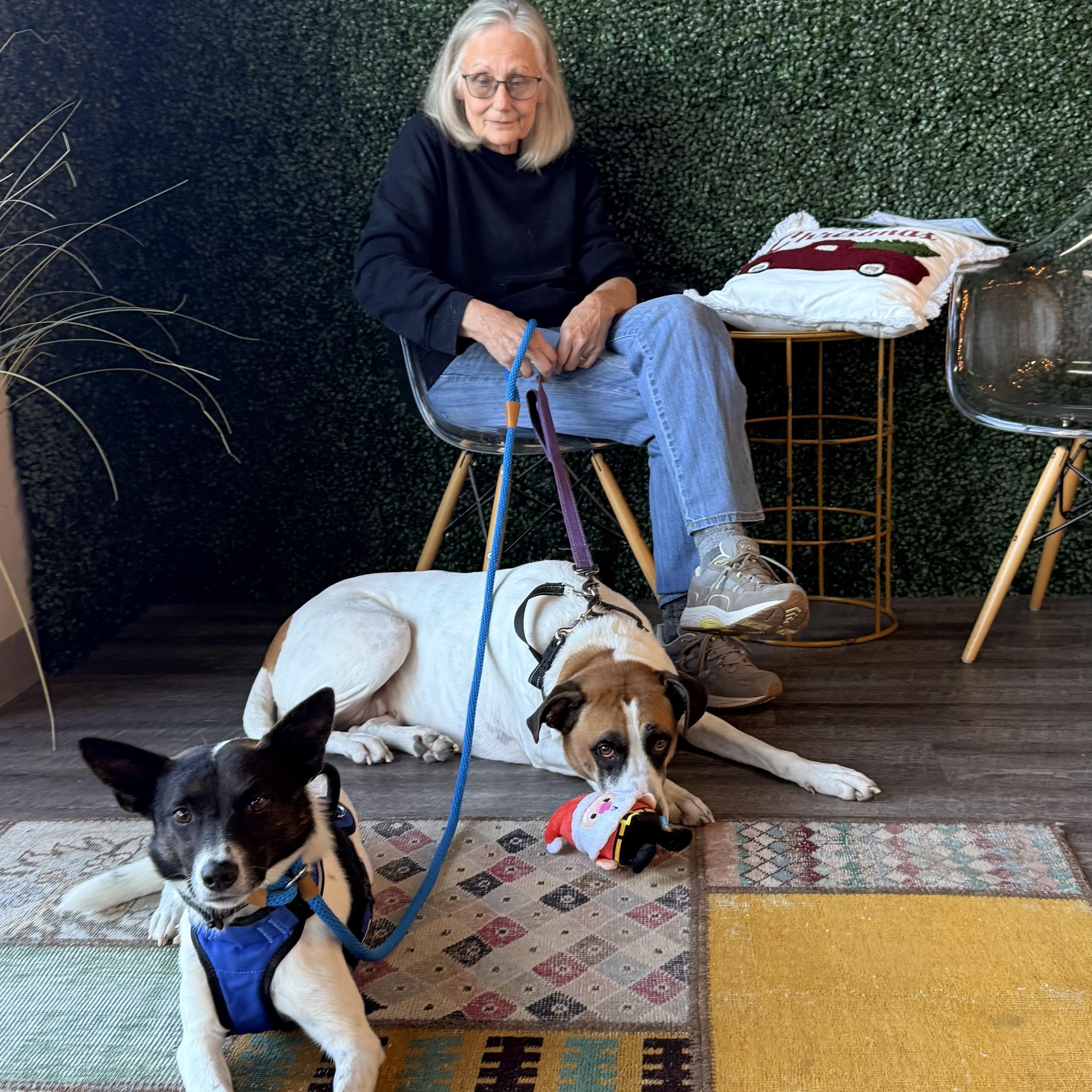 Lady — thumbnail 2