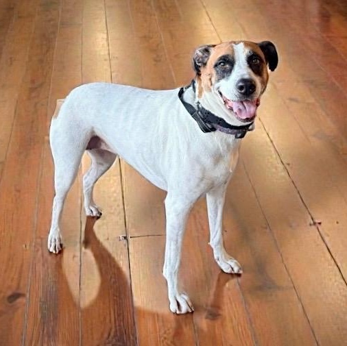 Lady — thumbnail 3