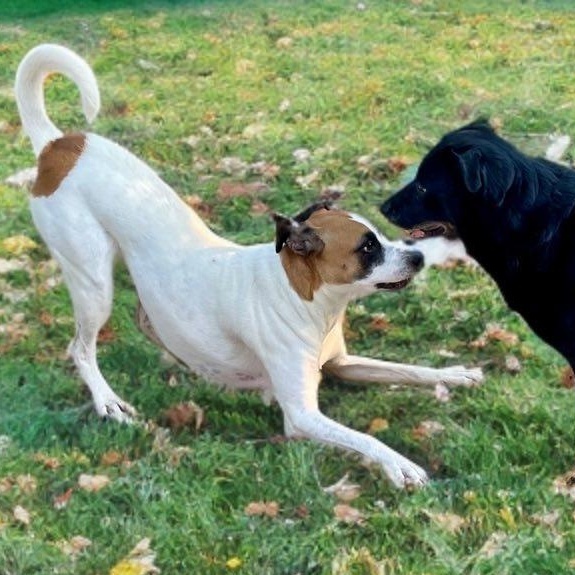 Lady — thumbnail 4