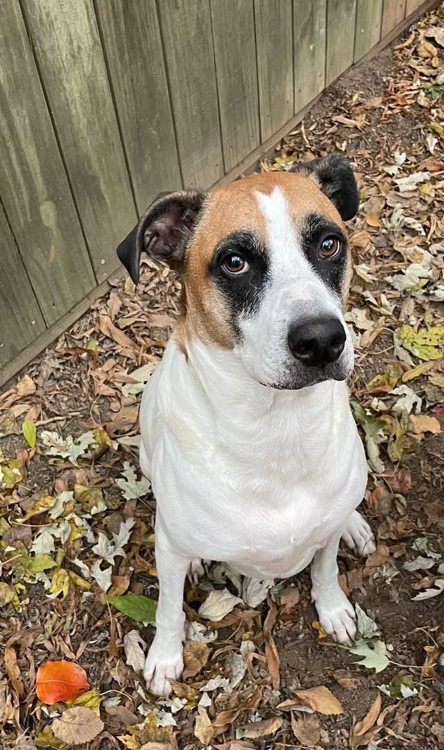 Lady — thumbnail 5