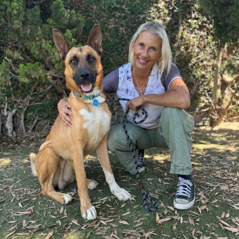 Enlarge Wyatt, a Adoptable mixed breed in Burbank, CA image 5/6