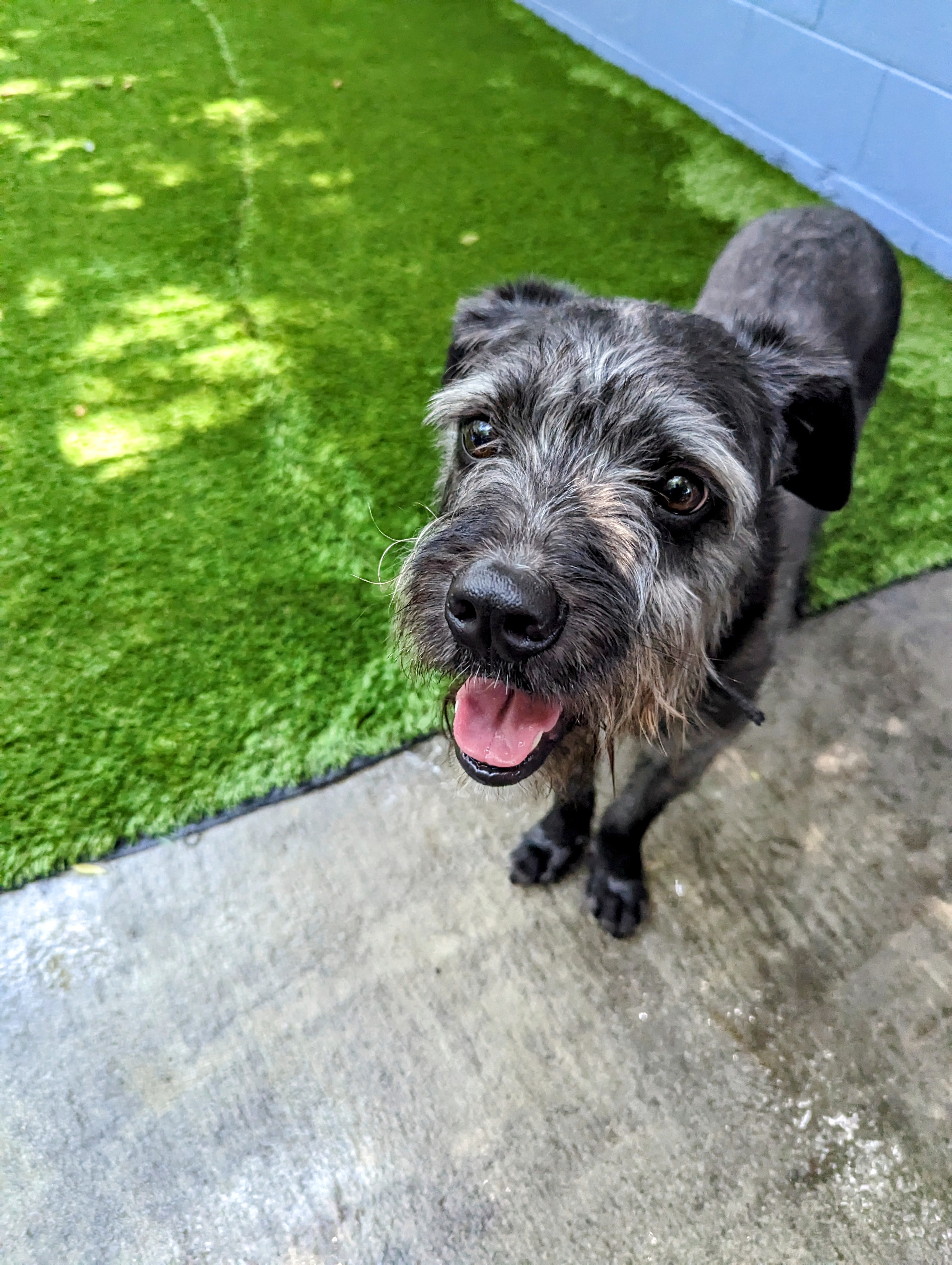 Mick Jagger thumbnail 2