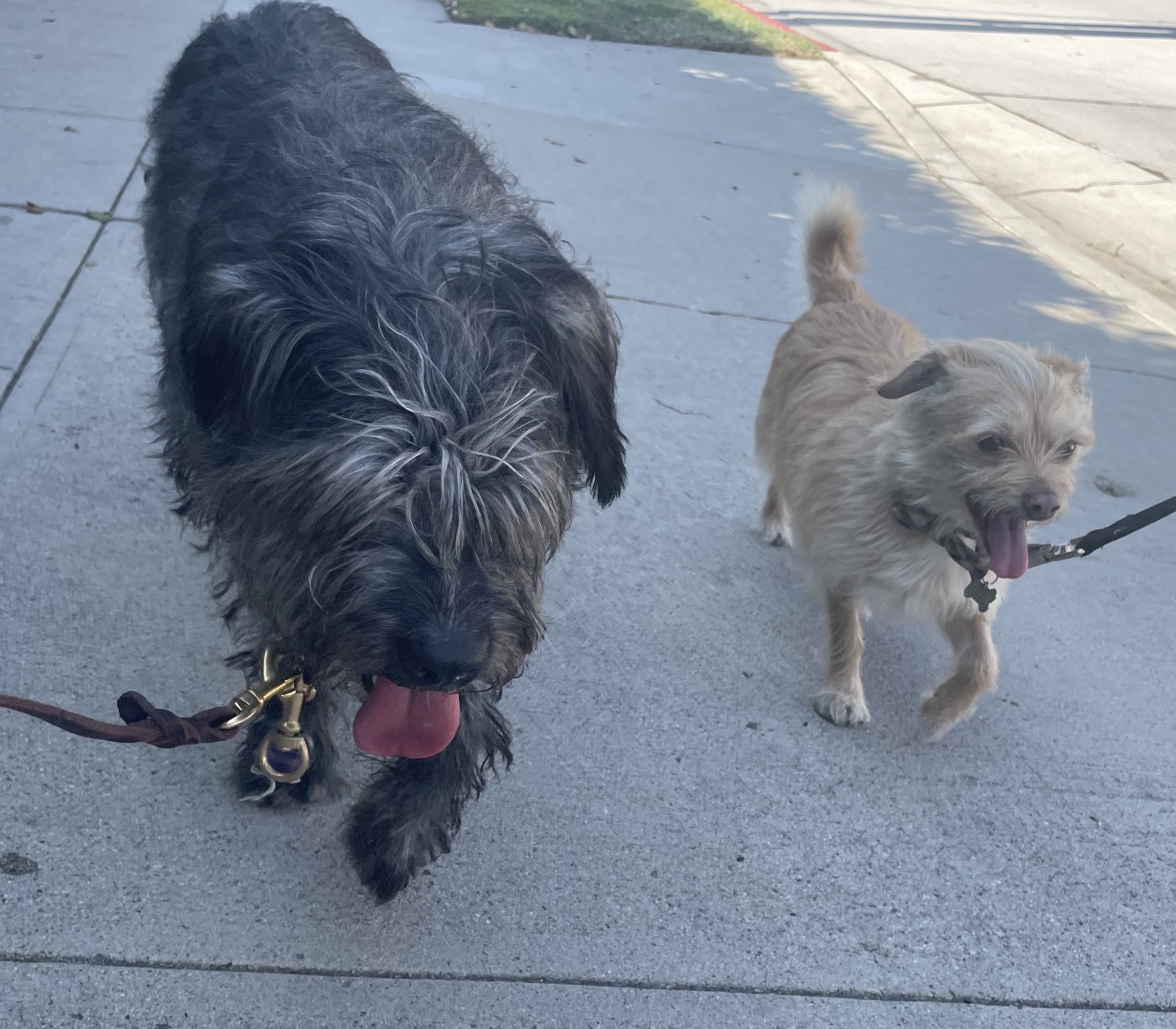 Mick Jagger thumbnail 3