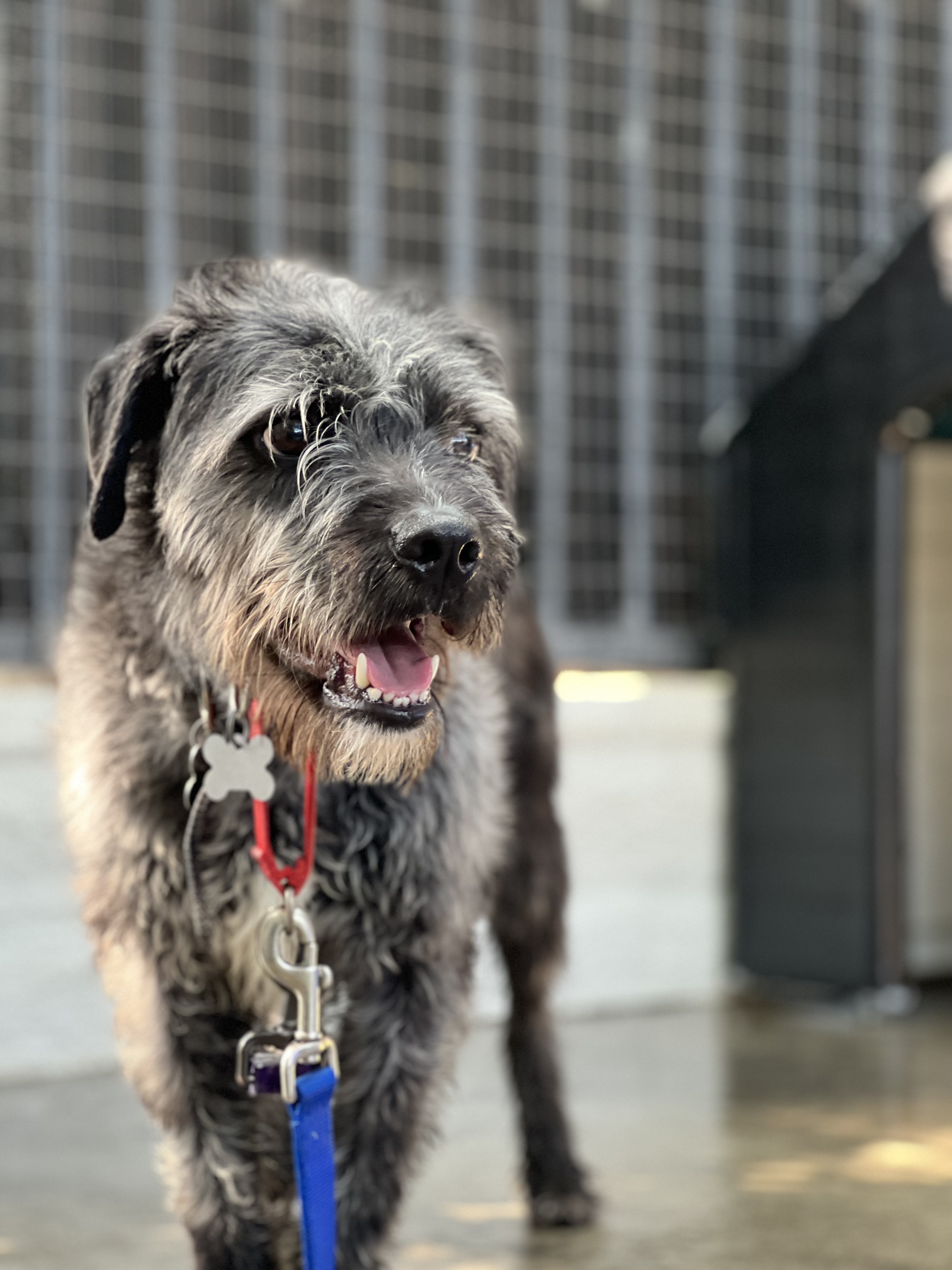 Mick Jagger thumbnail 5