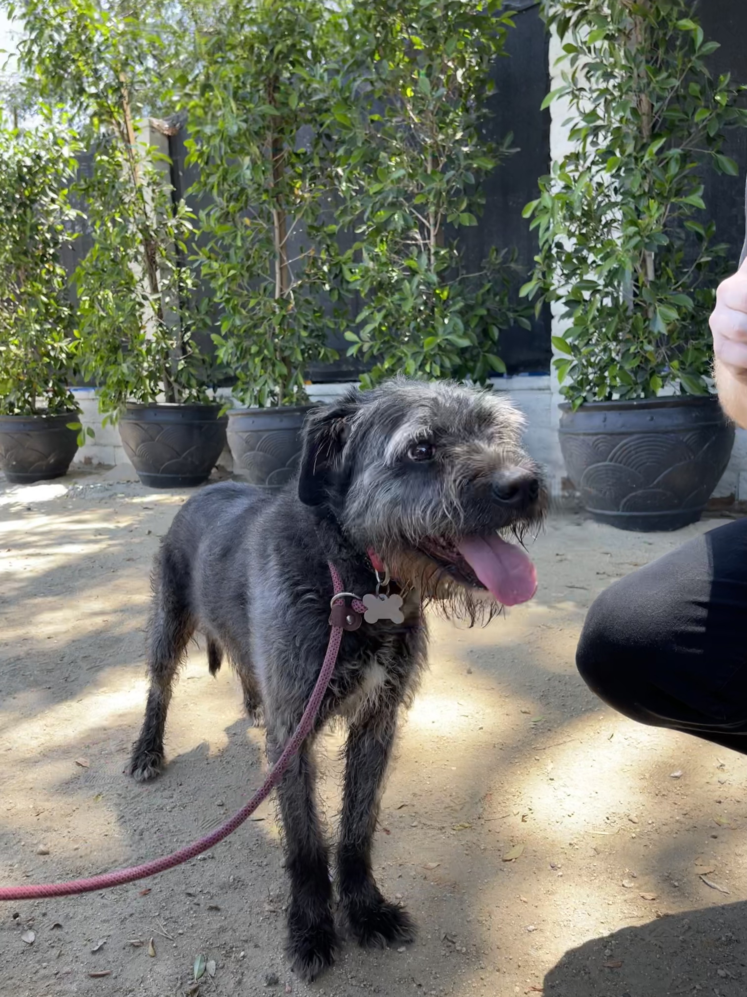 Mick Jagger thumbnail 2