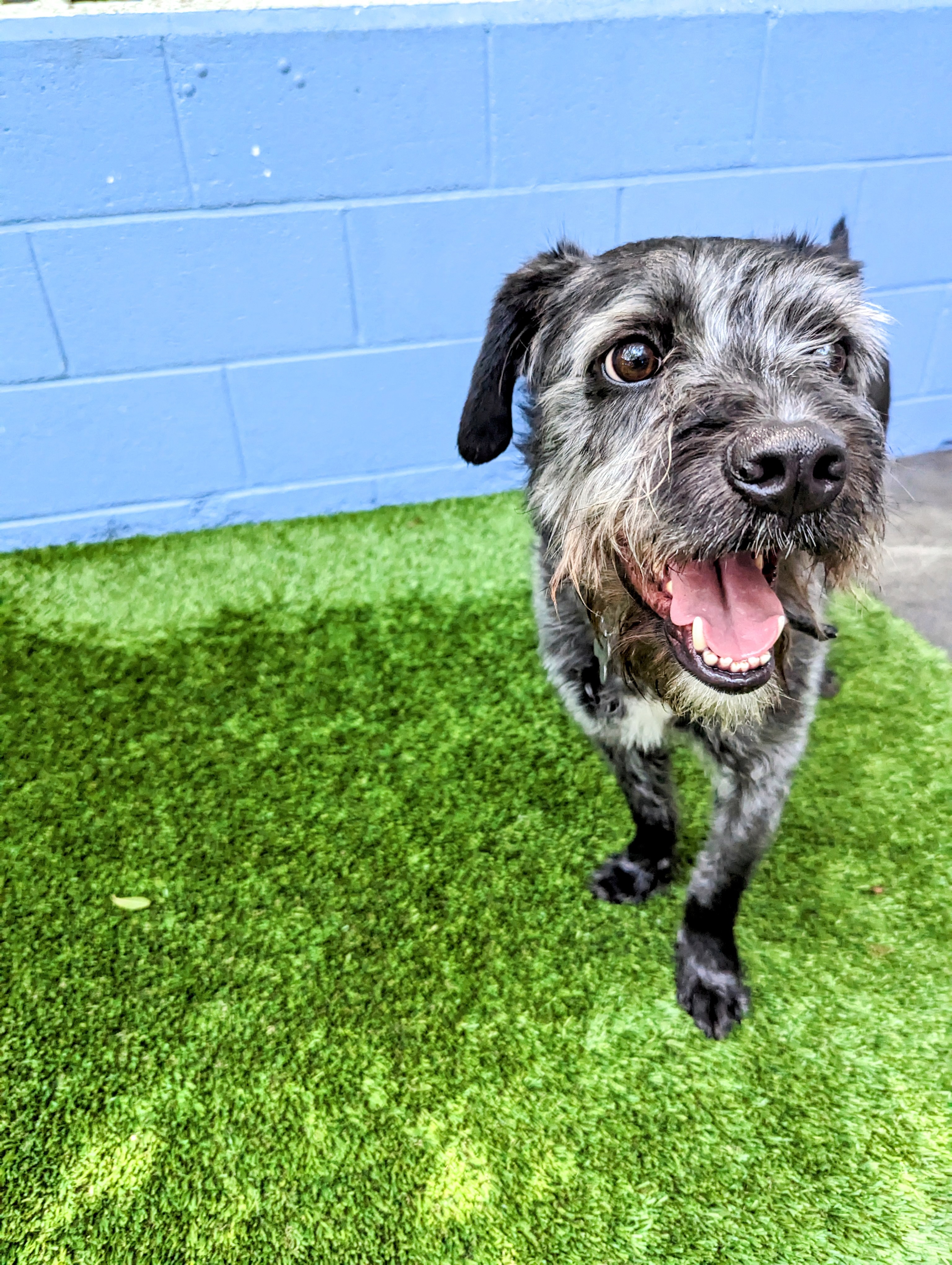 Mick Jagger thumbnail 4