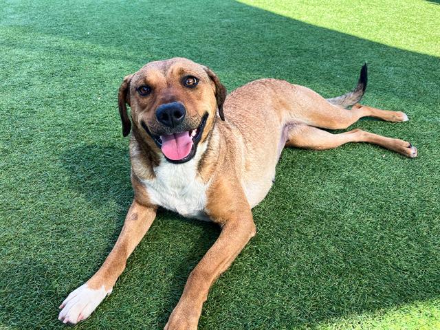 HALIE — thumbnail 2