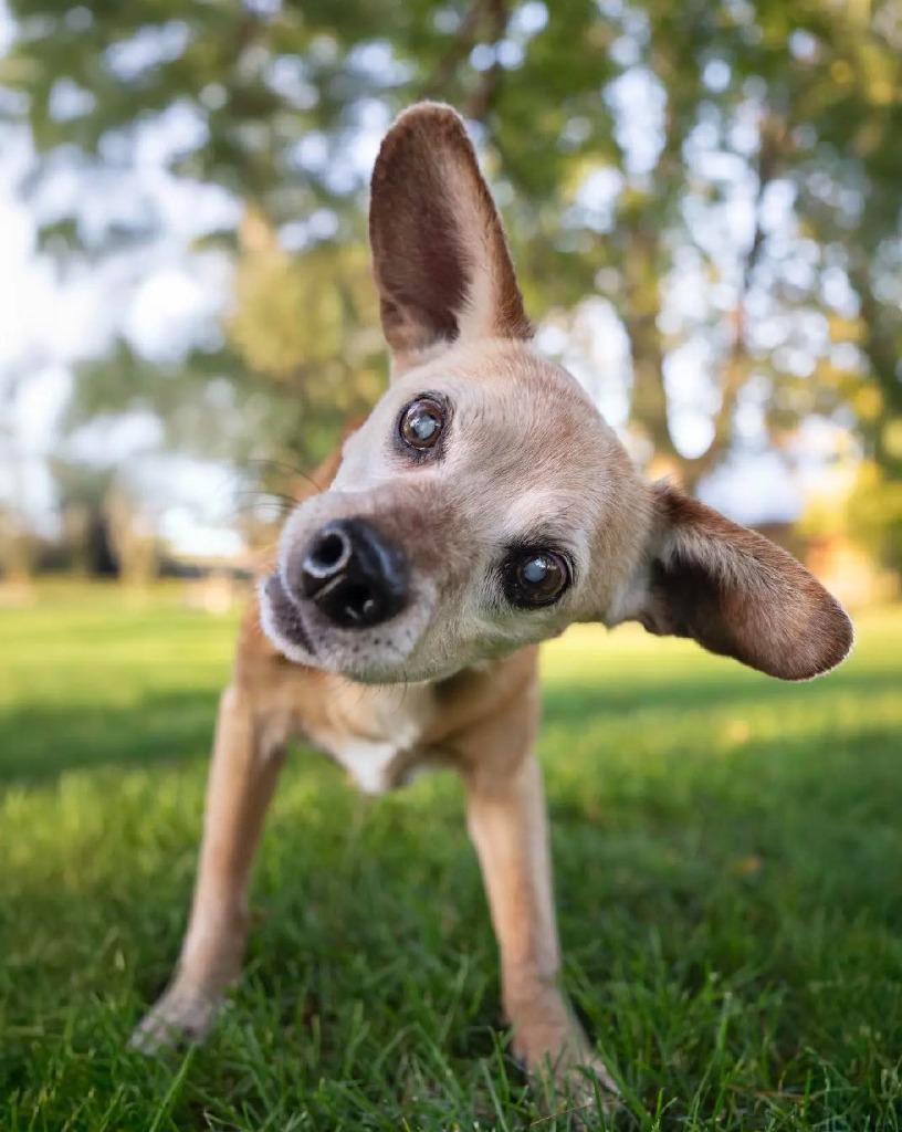 Thyme — thumbnail 2