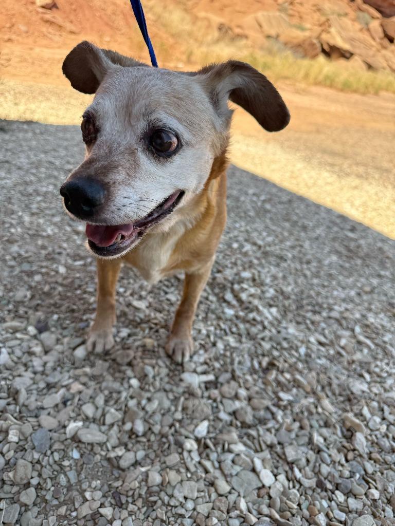 Thyme — thumbnail 5