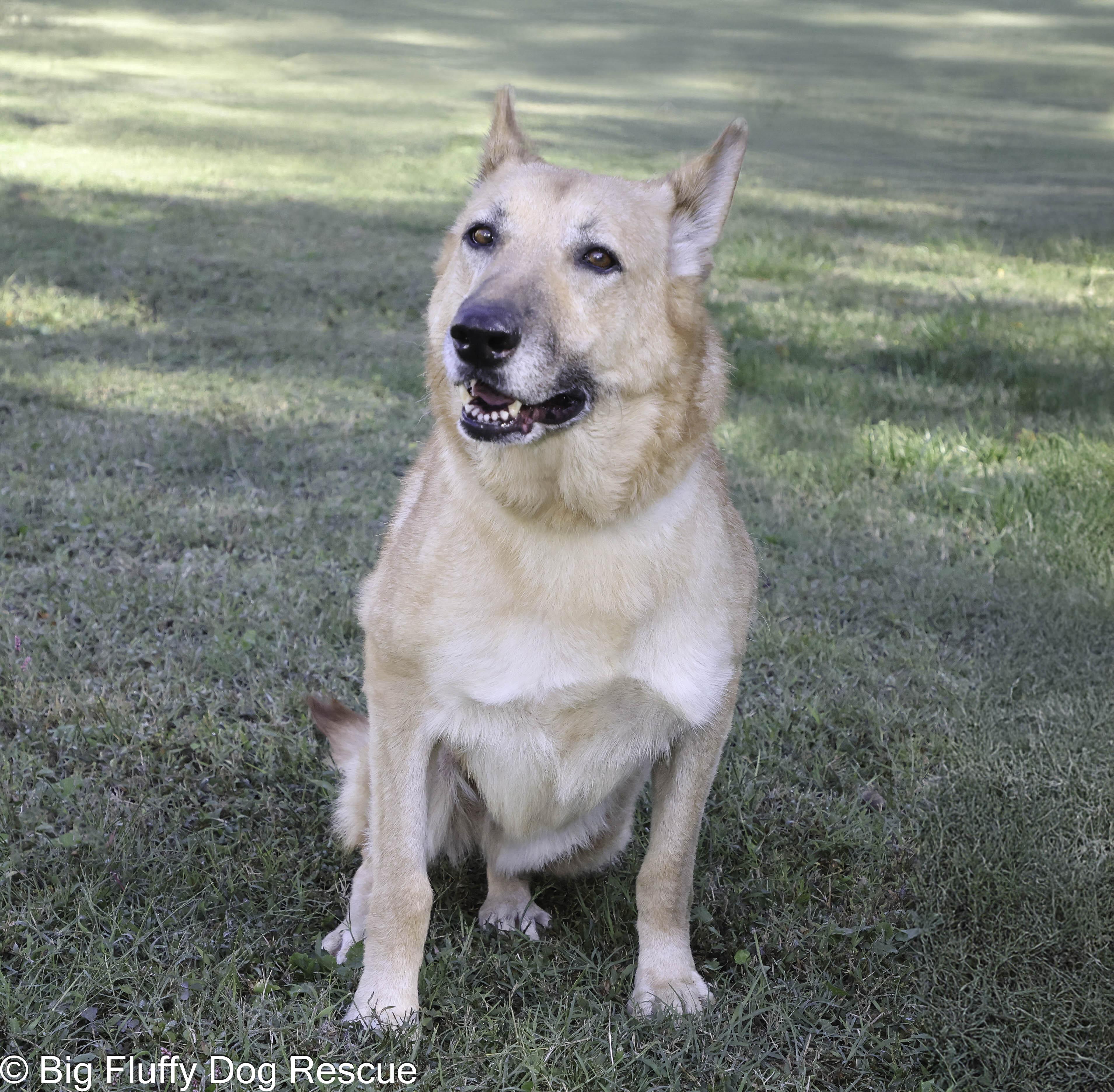 Molly — thumbnail 5