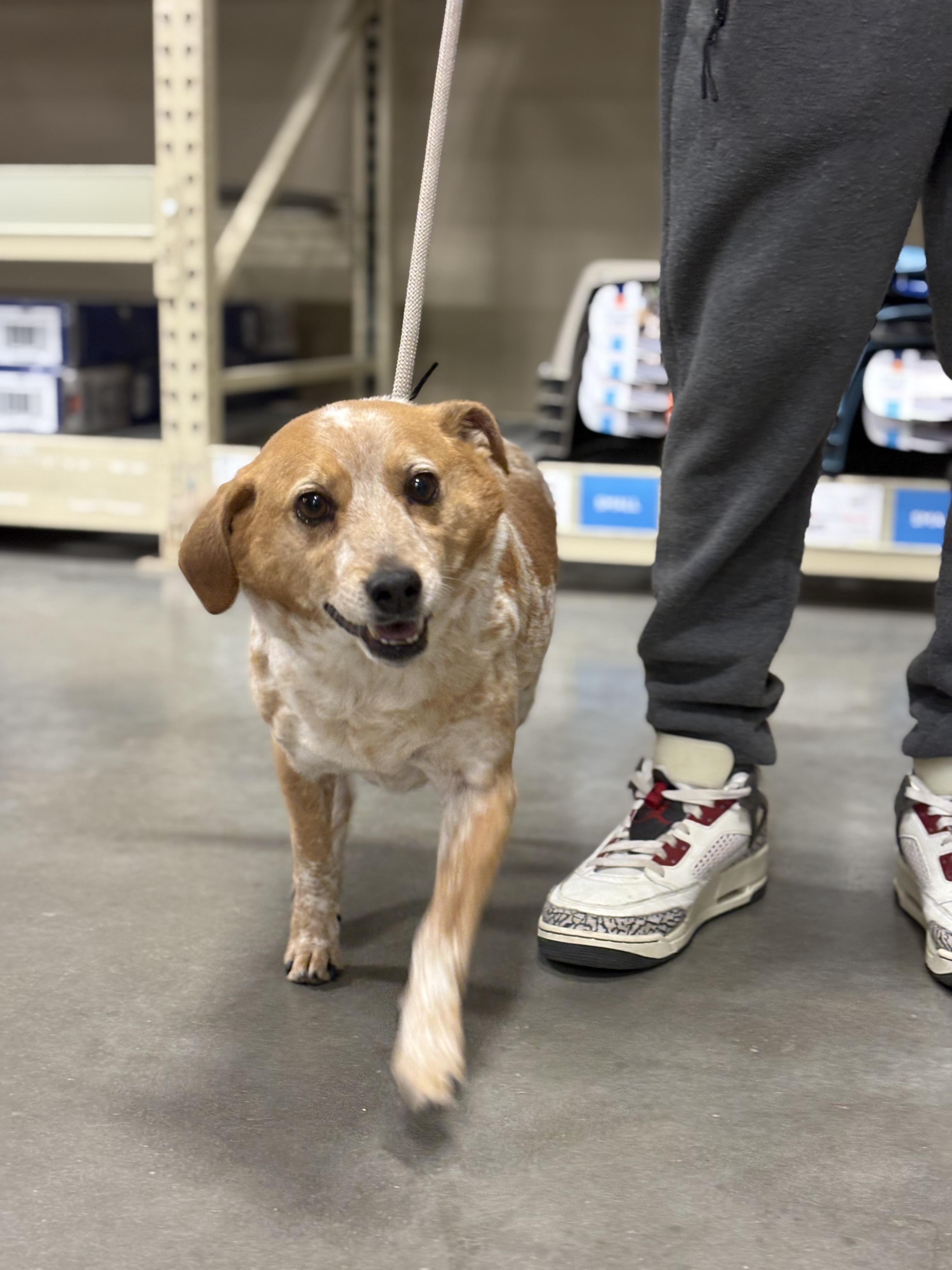 Atticus — thumbnail 2