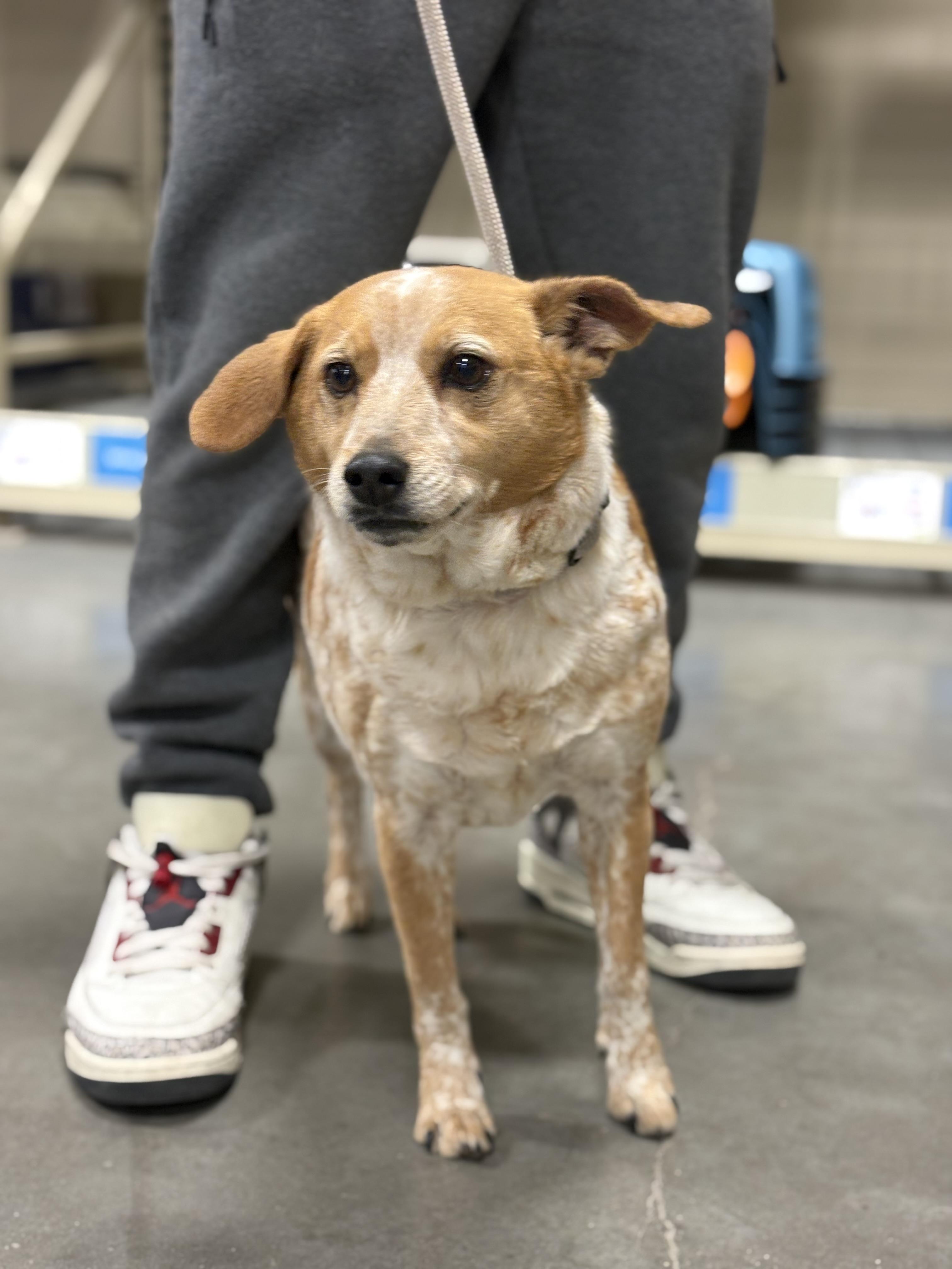 Atticus — thumbnail 3