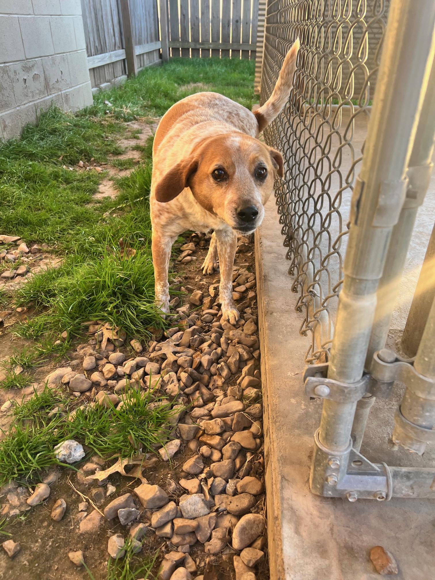 Atticus — thumbnail 4