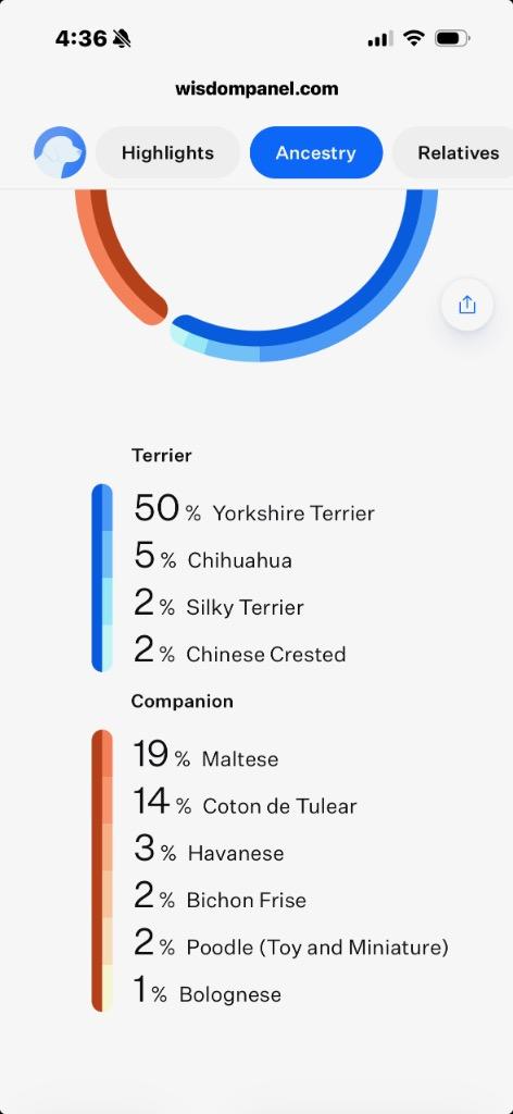 Enlarge Bubbles, an adopted Mixed Breed in Archbold , OH image 2/4
