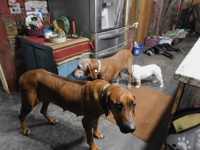 Irish Jig thumbnail 4