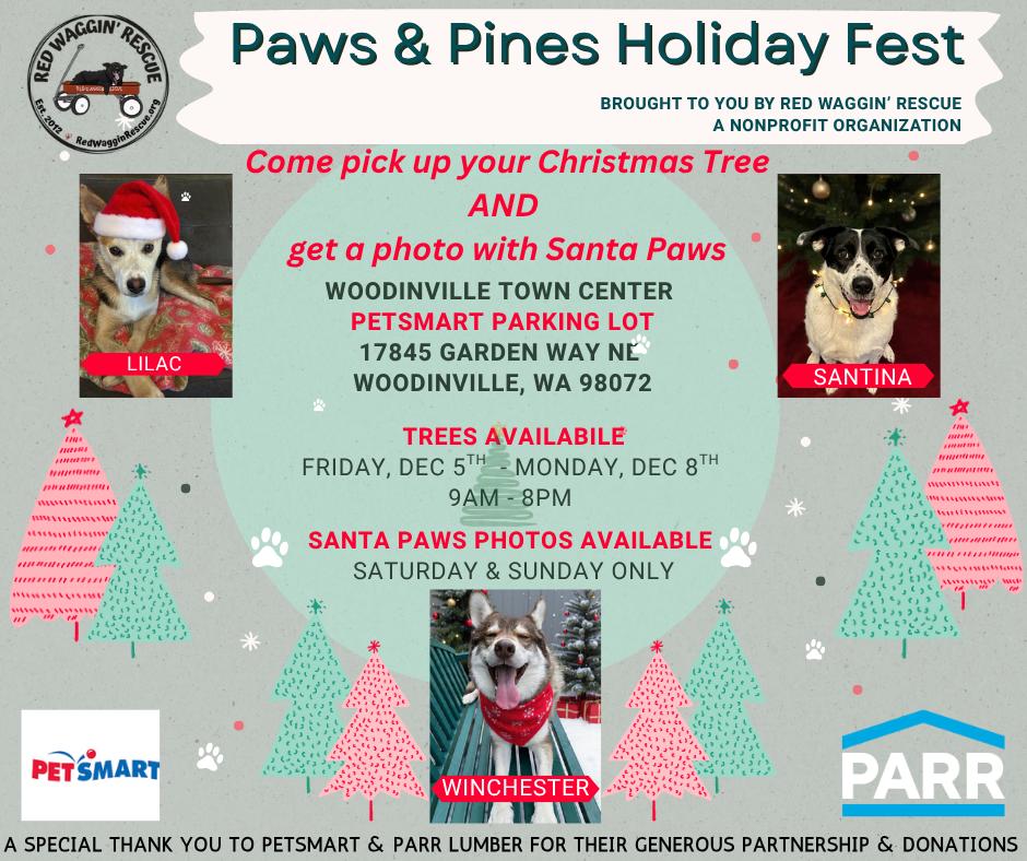 Sweet Pea - a shyer sweet, submissive girl!