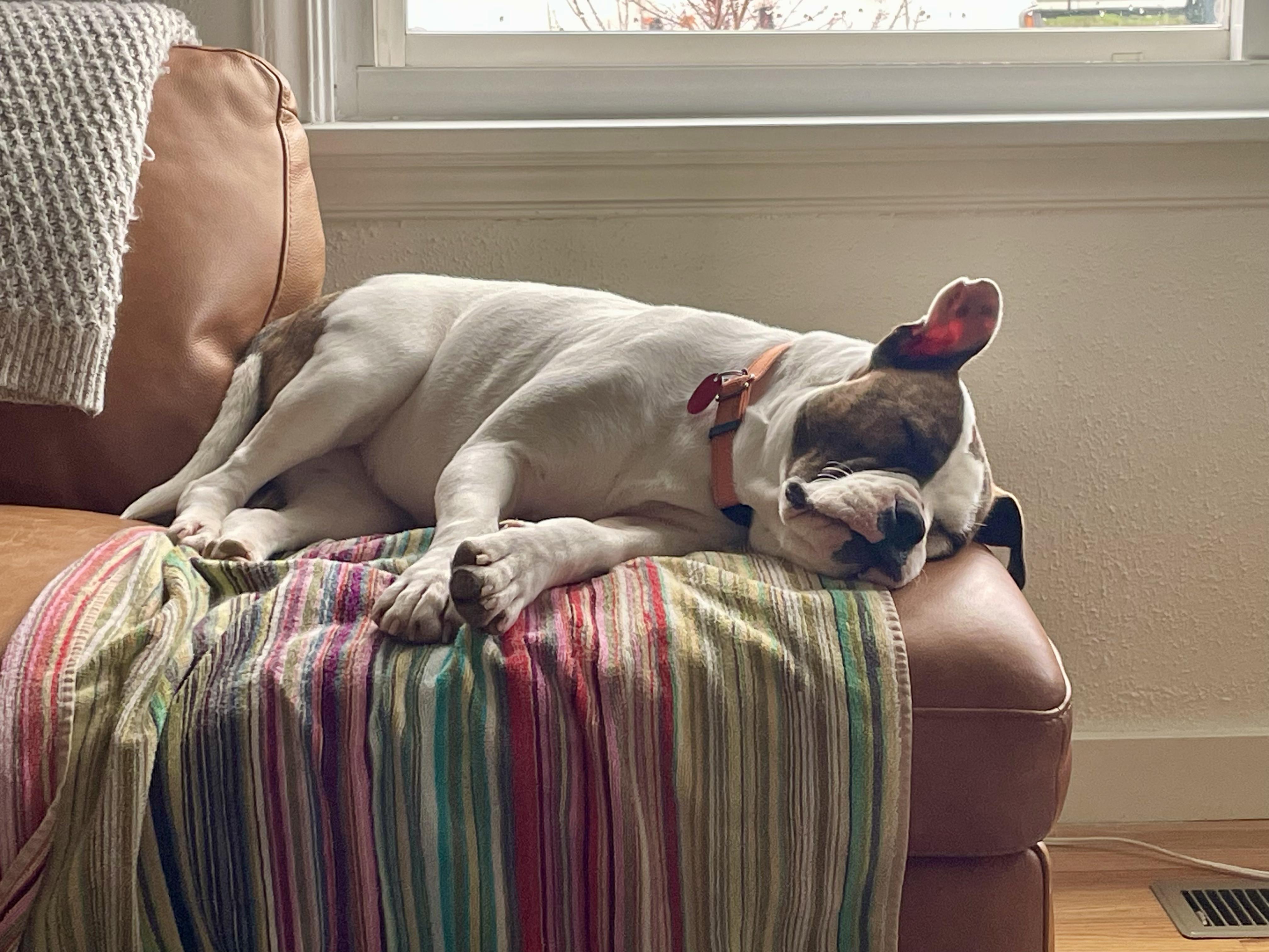 Sweet Pea - a shyer sweet, submissive girl!