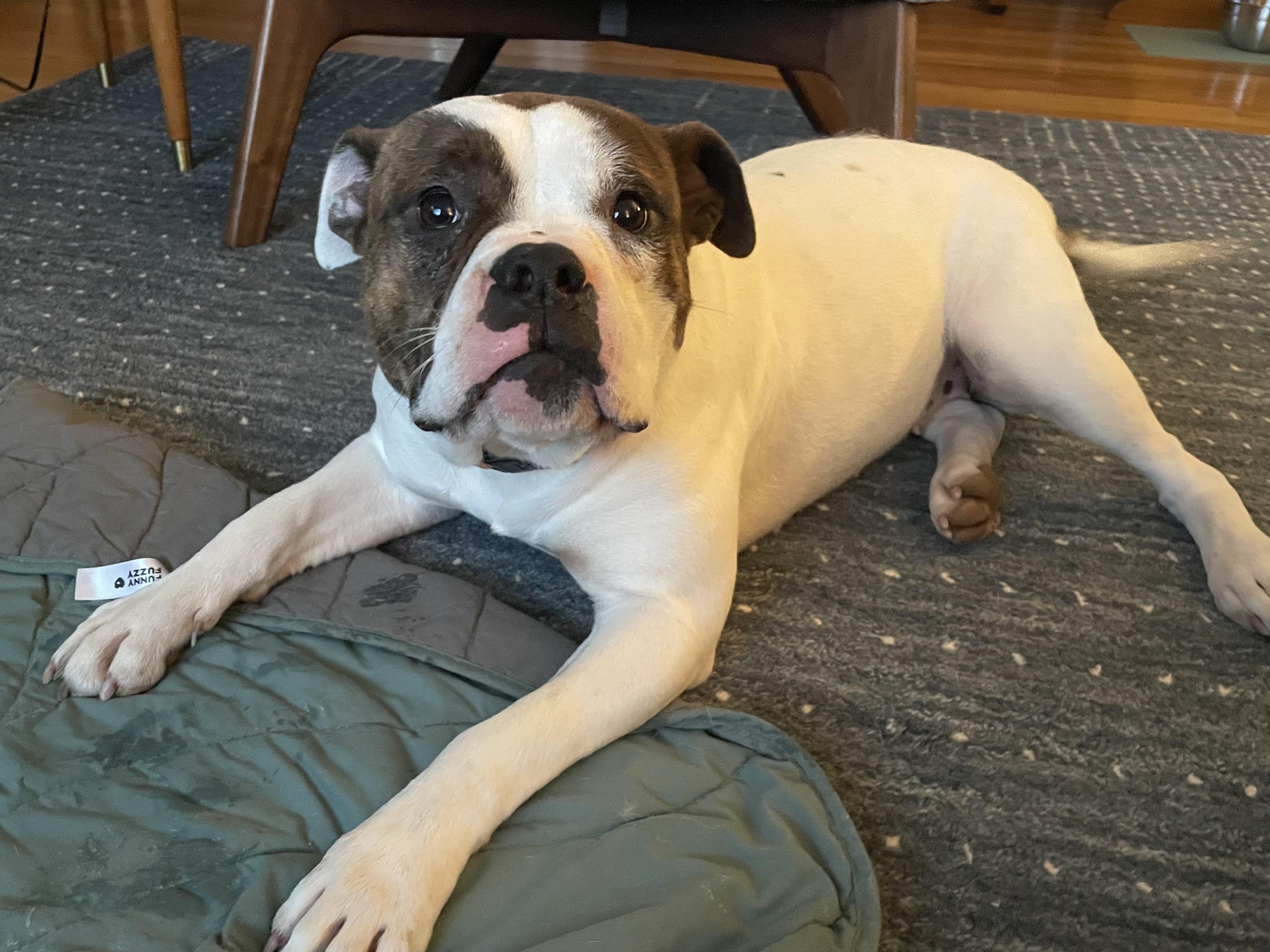 Sweet Pea - a shyer sweet, submissive girl!